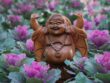 Wooden Smiling Buddha figurine surrounded by vibrant purple cabbage flowers, symbolizing peace and joy.
