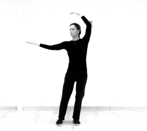 Tai Chi Qi Gong Shibashi Rancon Bellac Limoges