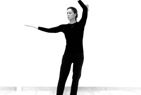 Tai Chi Qi Gong Shibashi Rancon Bellac Limoges