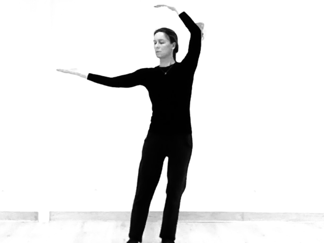 Tai Chi Qi Gong Shibashi Rancon Bellac Limoges
